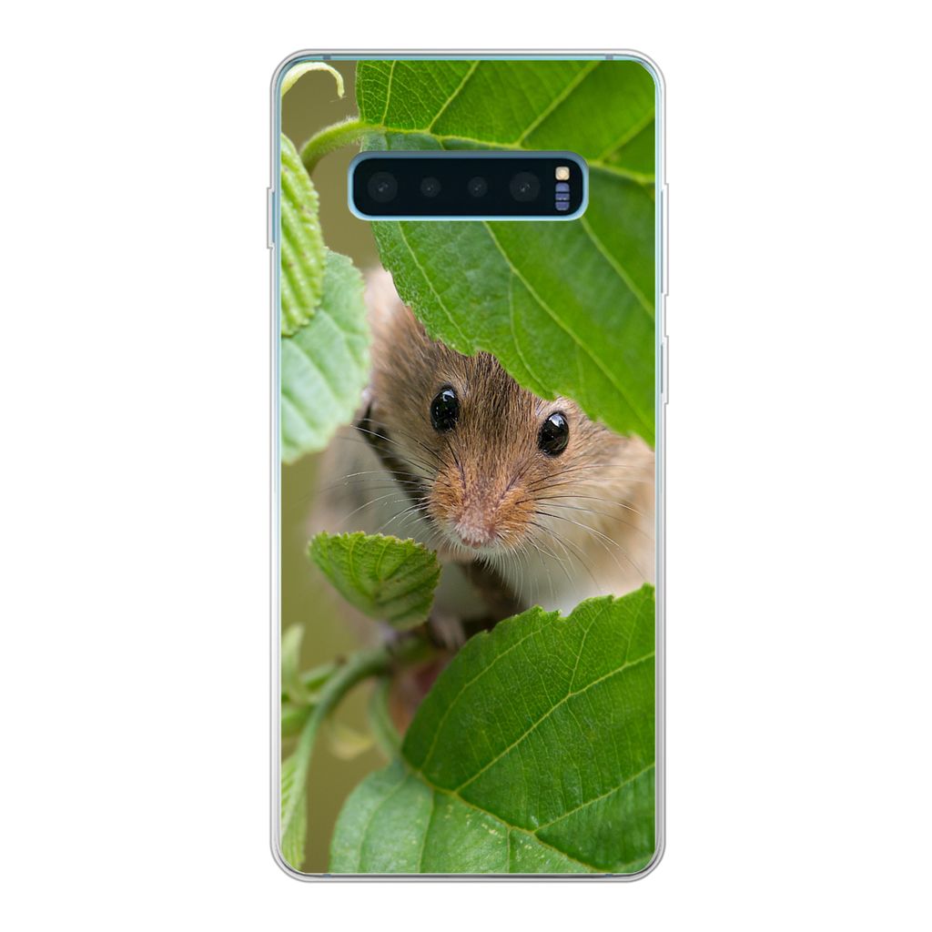 MuchoWow Handyhülle Schutzhülle Hülle für Samsung Galaxy S10 Lite Zwergmaus - Jungtiere - Blätter Silikon Softcase Handy Hülle - Schutz