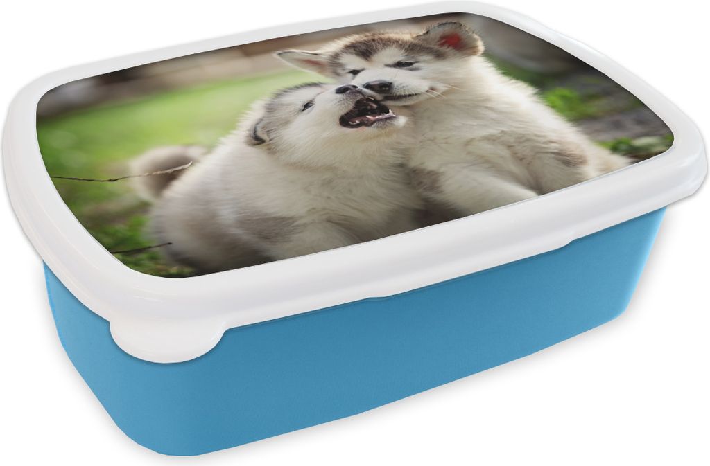 KitchenYeah Lunchbox Brotzeit Brotdose 17x11 cm Welpen spielen zusammen Kinder Brotzeitdose - Lunch - Kunststoff - Brotbüchse - Sandwichbox - L...
