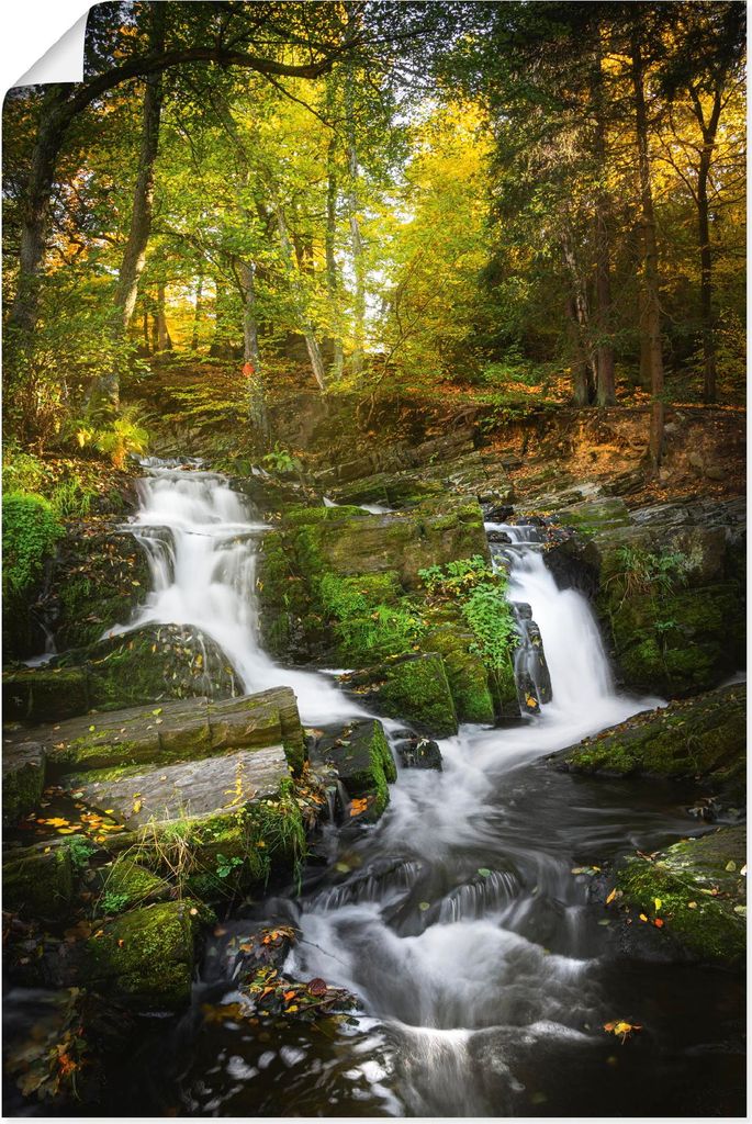 ARTland Poster Selkefall im Harz Größe: 20x30 cm