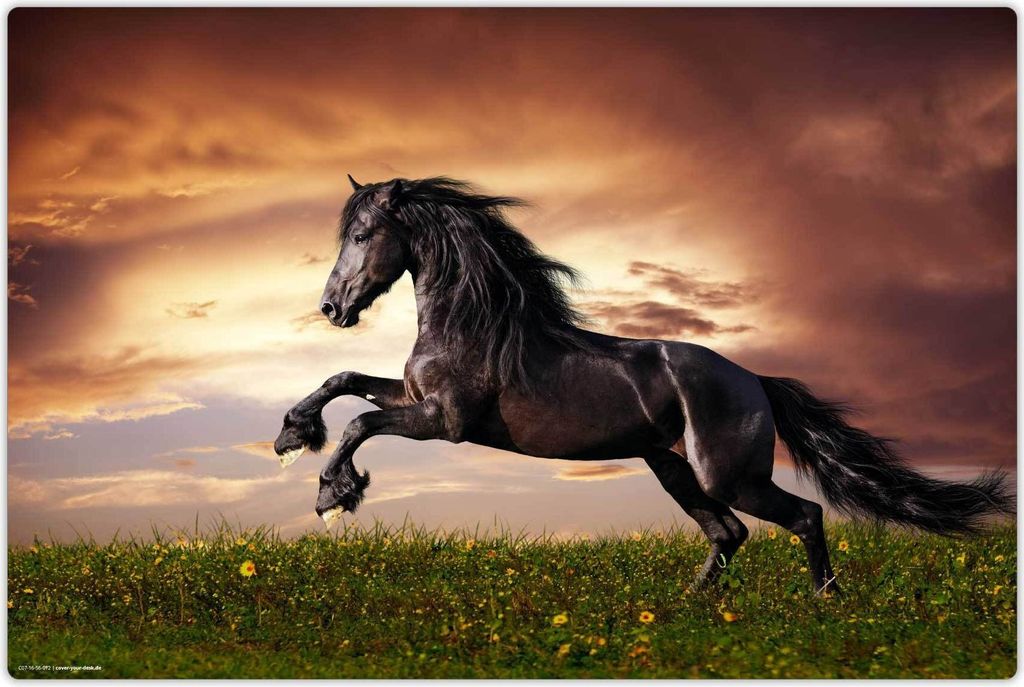 Schreibtischunterlage für Kinder - abwaschbar – Schwarzes Pferd – aus premium Vinyl – 60 x 40 cm – Germany - Jungs & Mädchen