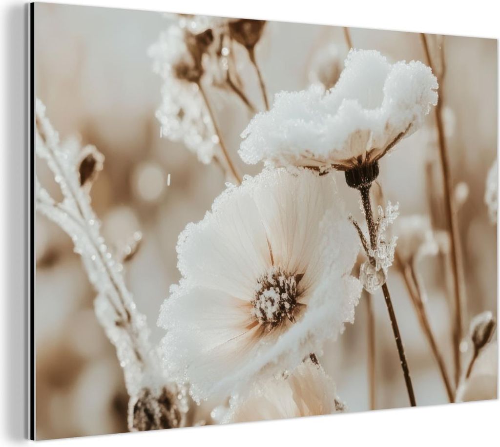 MuchoWow Wanddekoration Metall Metallbild Wandkunst 90x60 cm Blumen - Winter - Weiß - Schnee - Beige MuchoWow Aluminium Gemälde - Wandbilder