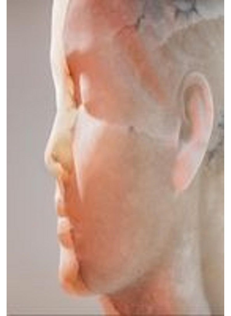 Jaume Plensa: Inner Matter