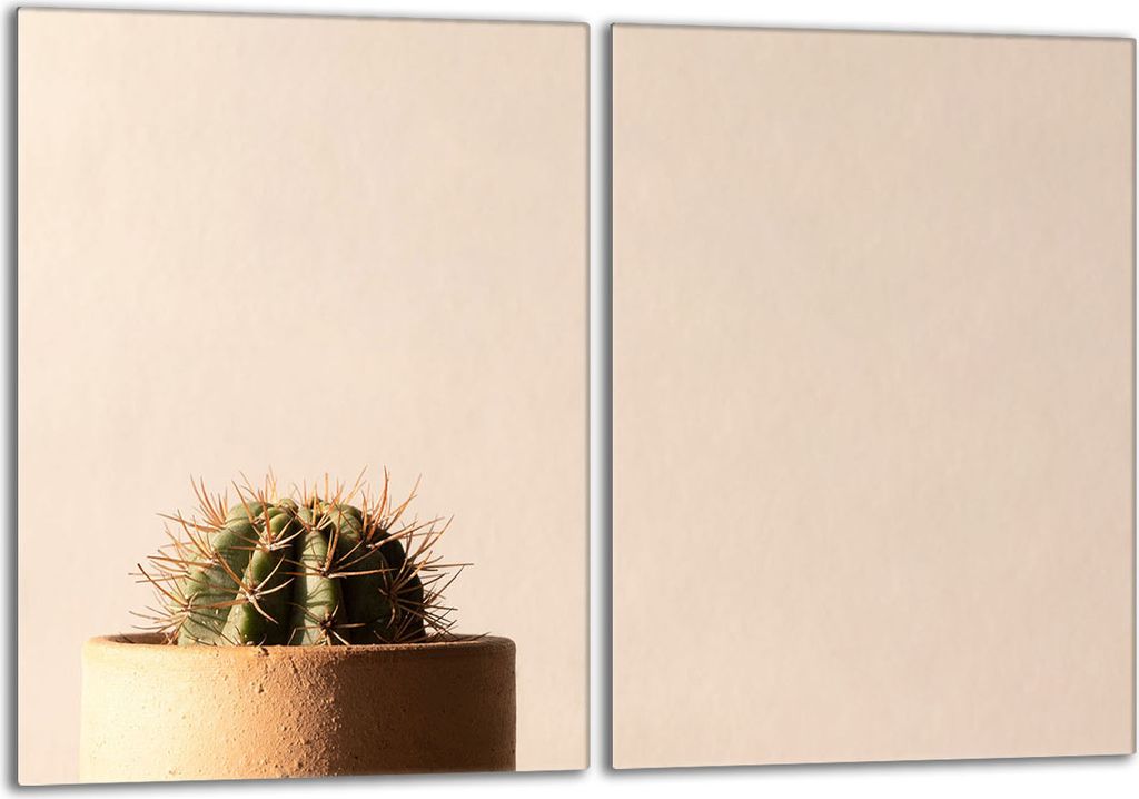 Glasschutzplatte für den Herd 2x40x52 Cactus