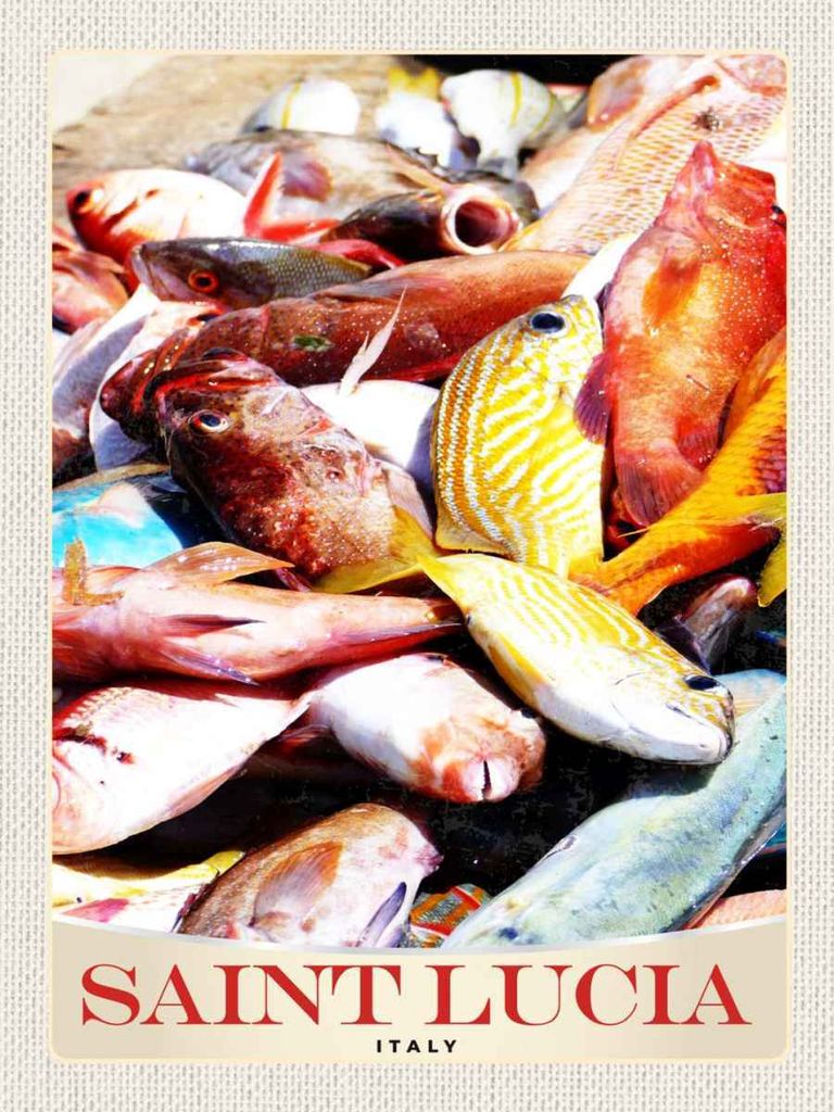 vianmo Holzschild 40x30 cm Saint Lucia Italien Europa Fische Bildmotiv Reisemotiv