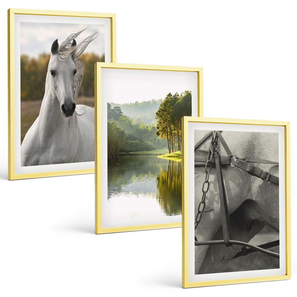 Bilder Set 3-teilig im Goldrahmen Rahmen – Wandbilder 3 Stück – gerahmte Poster für Wohnzimmer, Schlafzimmer und Flur – 40x60 cm – Natur ...