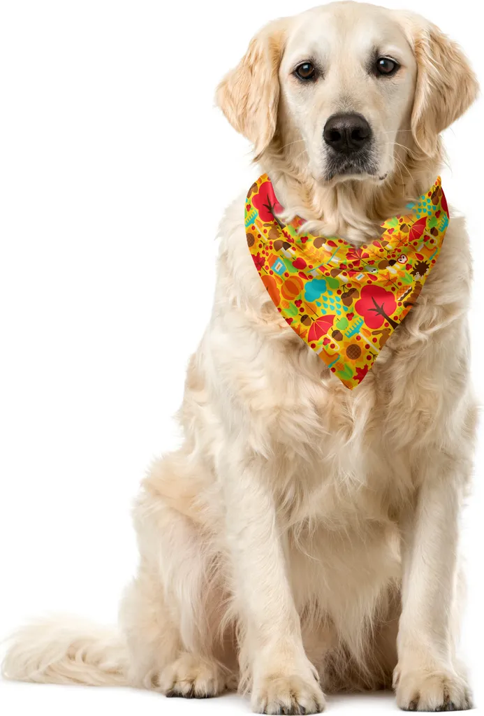 Bandana Artistica ABAKUHAUS Autunno - Corallo e Scarabocchi 40x40