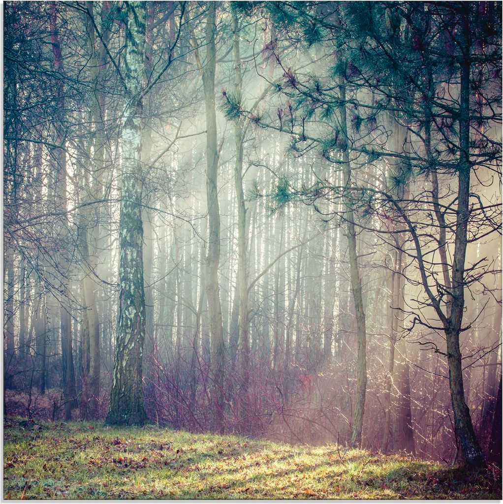 ARTland Glasbild Sonnenstrahlen im Wald Größe: 30x30 cm
