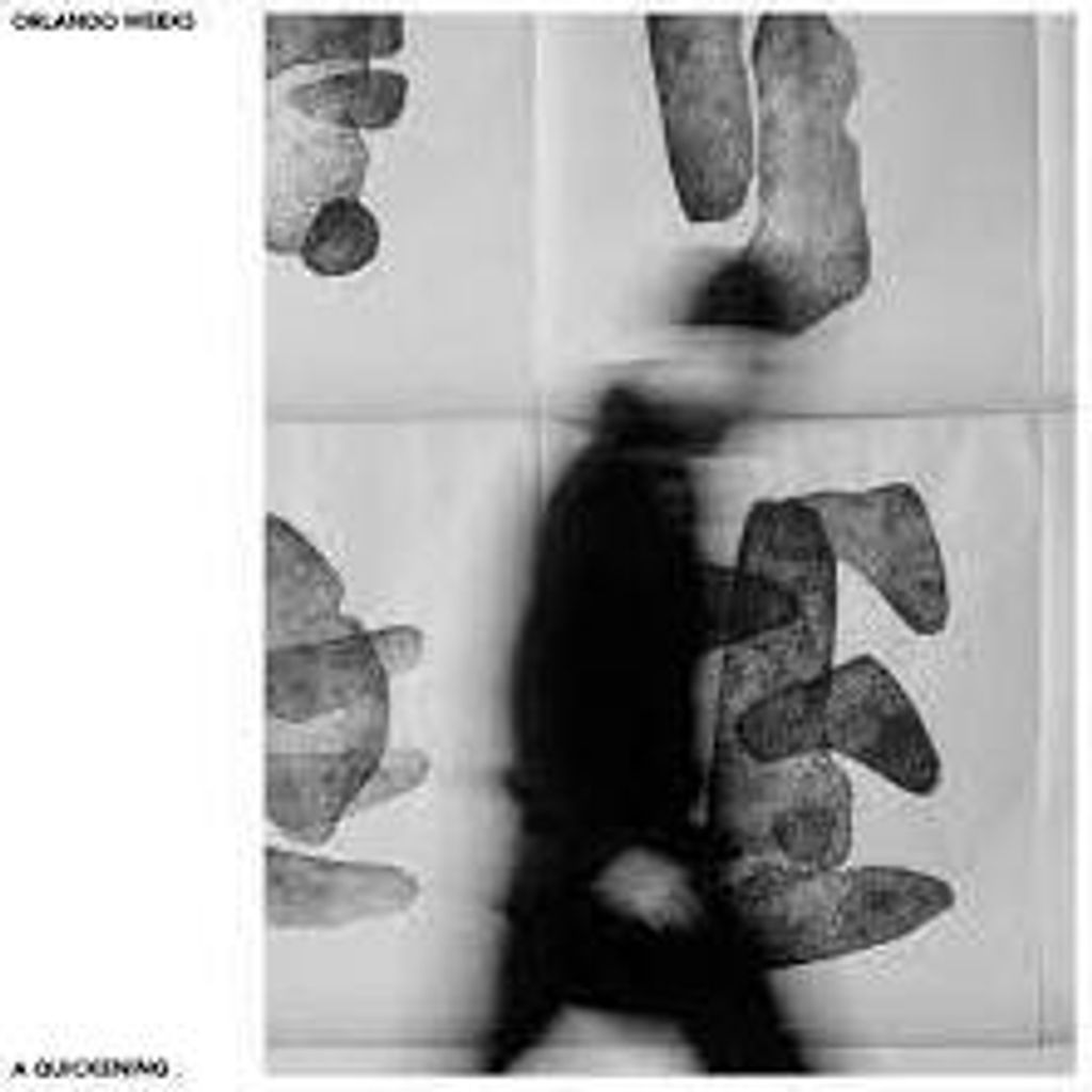 Orlando Weeks - ein beschleunigendes Vinyl