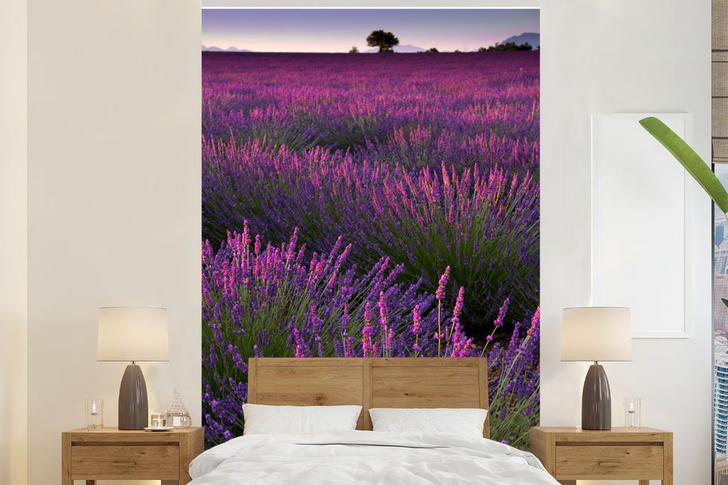 MuchoWow Fototapete für Wohnzimmer oder Schlafzimmer Wandtapete Vinyl Motivtapete Lila Lavendelblüten auf einem Feld - 145x220 cm - Wanddekoration