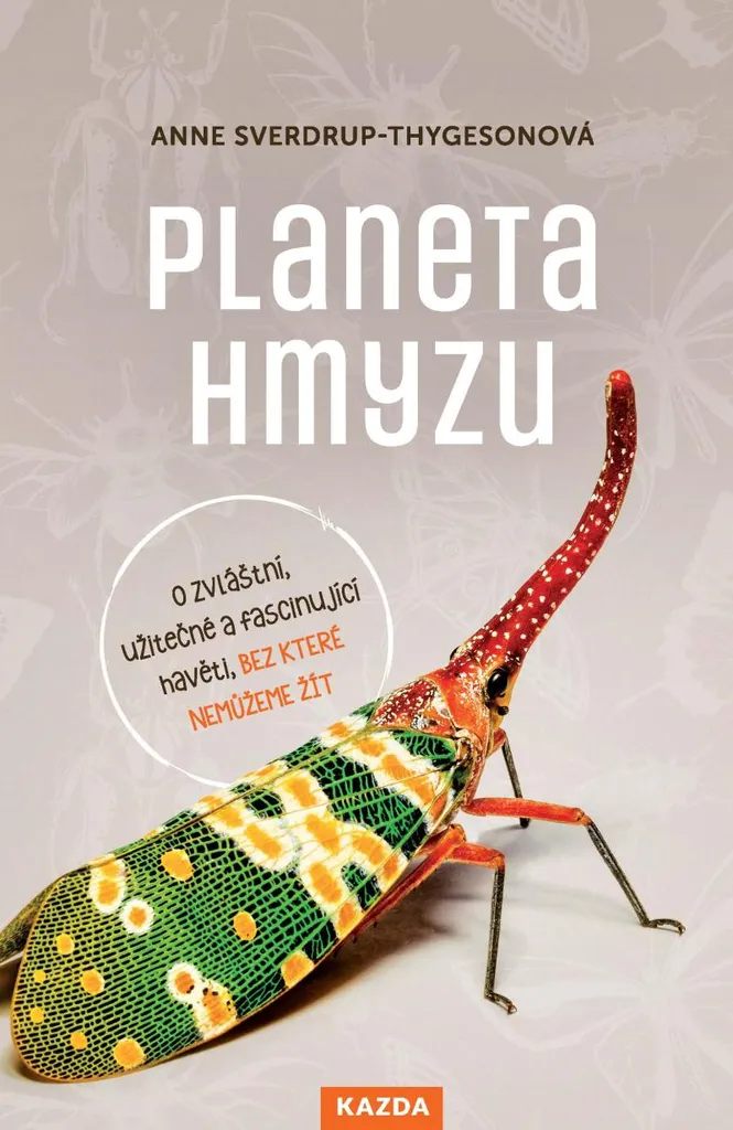 Planeta hmyzu Anne Sverdrup-Thygeson Livre sur le Monde des Insectes