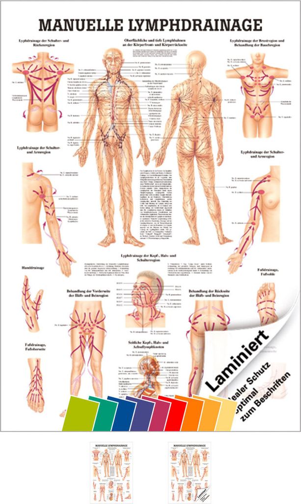 Manuelle Lymphdrainage Mini-Poster Anatomie 34x24 cm medizinische Lehrmittel