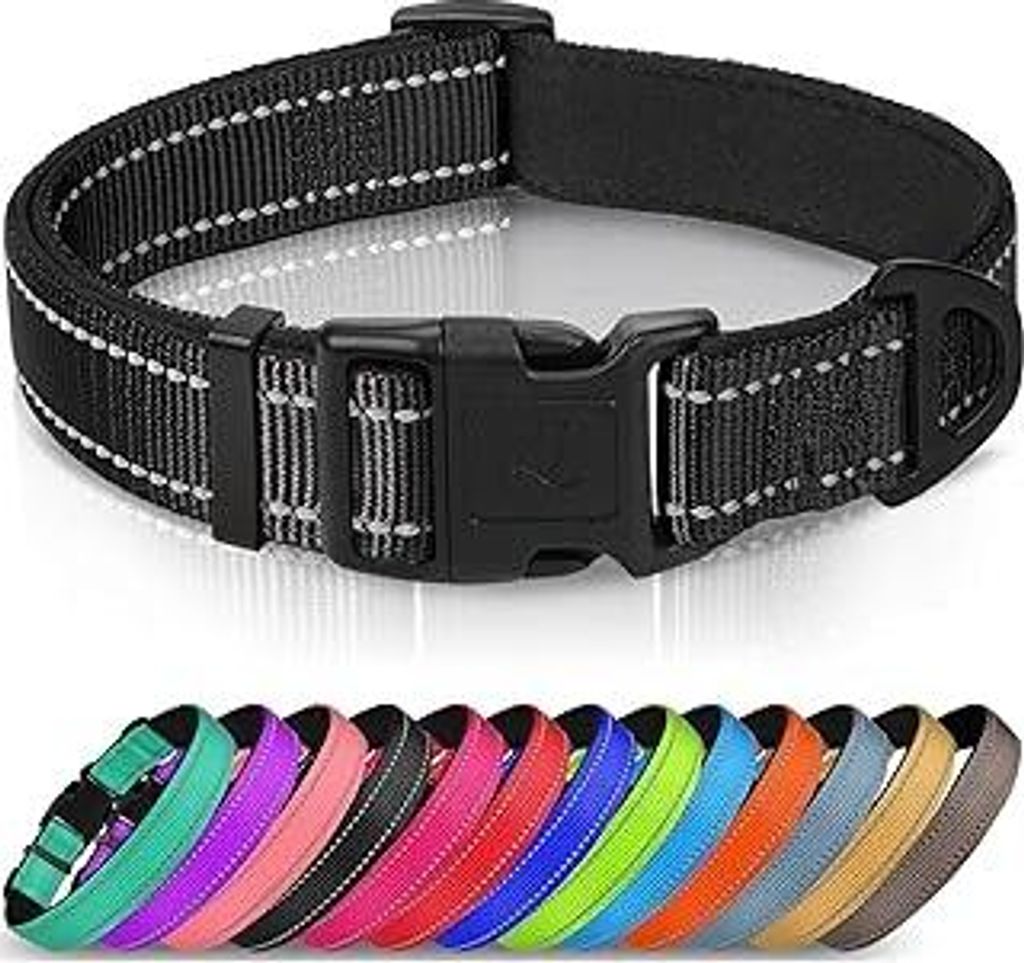 Joytale Halsband Hund, Gepolstertes Hundehalsband Breit aus Neopren Nylon Hundehalsband Verstellbar für Kleine Hunde, Weich und Reflektierend Hund...