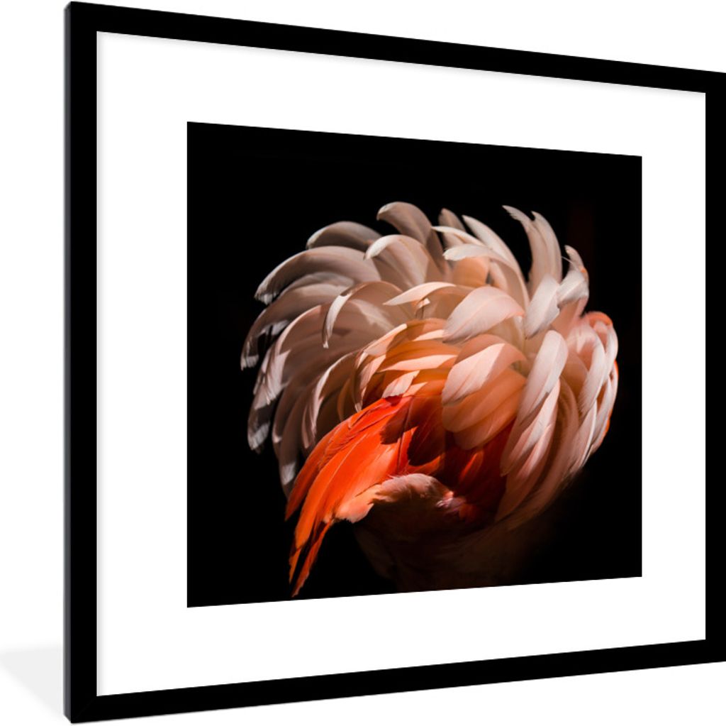 MuchoWow Gerahmtes Poster Flamingo - Federn - Licht - Makro 40x40 cm - Poster mit Schwarzem Bilderrahmen Wandposter Rahmen Foto Bilder