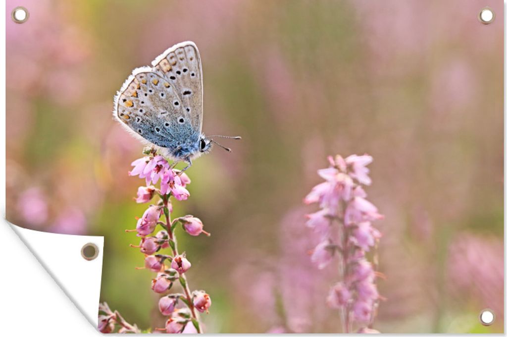 MuchoWow 120x80 cm Outdoor-Poster Gartendeko Sichtschutz Garten Poster für den Garten Schmetterling - Blume - Flügel