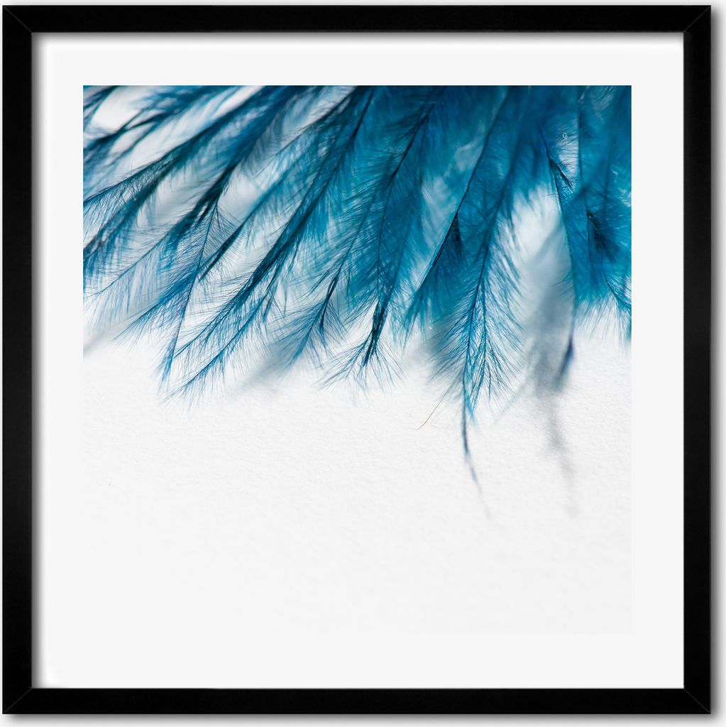 Bild - 50 cm x 50 cm - MDF - Rahmen, Wandkunst - Blaue Federn