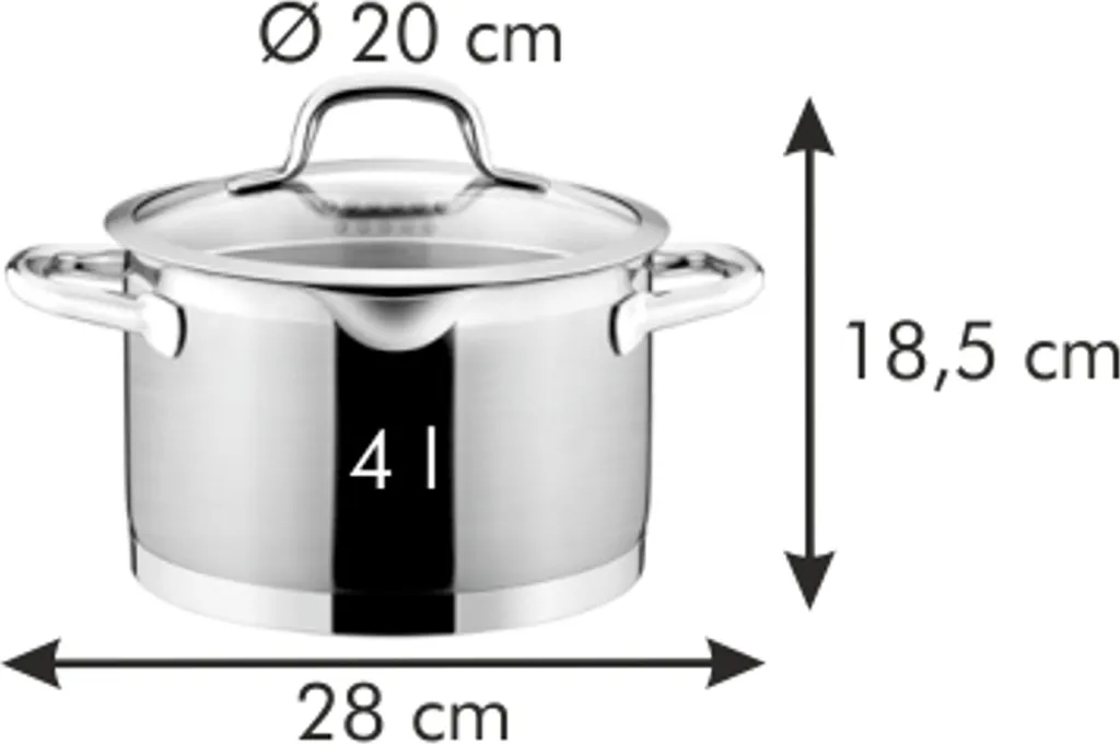 Tescoma PRESIDENT vs Pentole Comuni: Recensione Casseruola 4L 20cm - 2