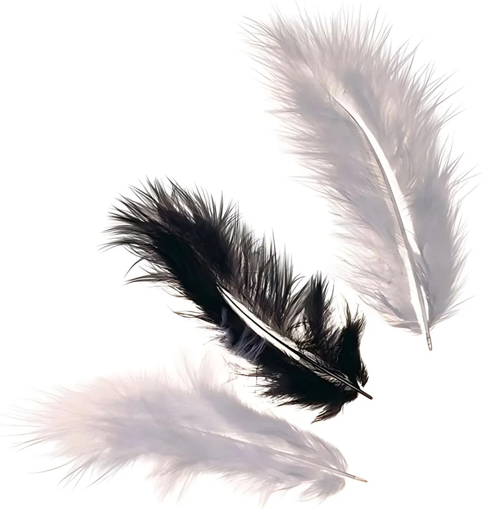 Plumes de marabout noir env. 10 cm sachet pour DIY et loisirs créatifs