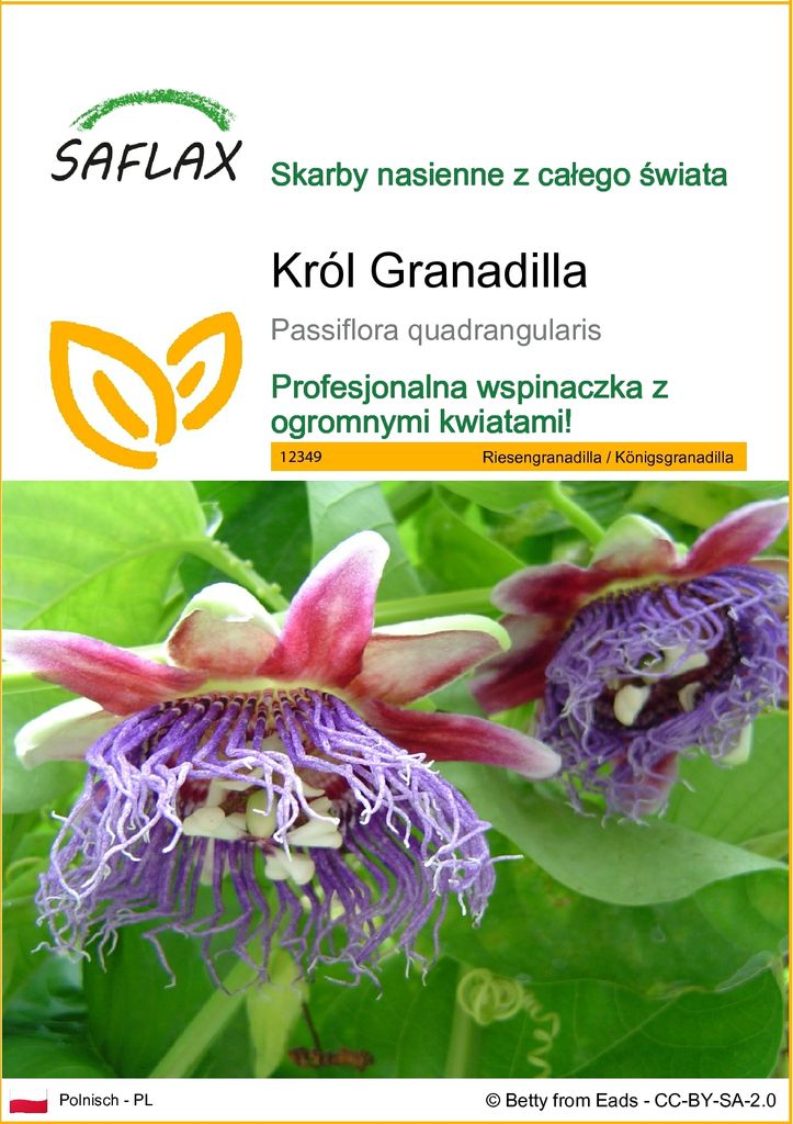 SAFLAX - Król Granadilla - 12 Nasiona - Passiflora Zdjęcie produktu 