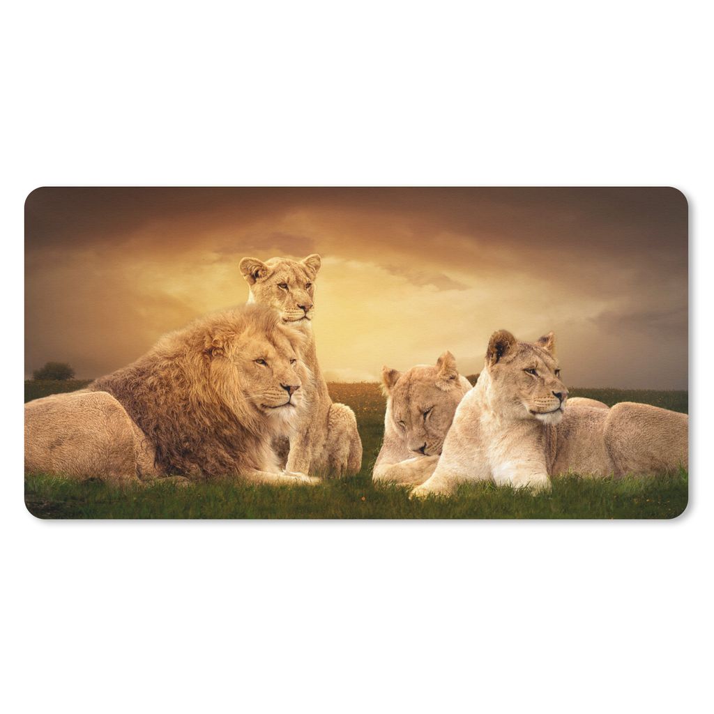 MuchoWow Schreibtischunterlage Löwen - Gras - Himmel 80x40 cm - XXL Mauspad - Gaming Mauspad