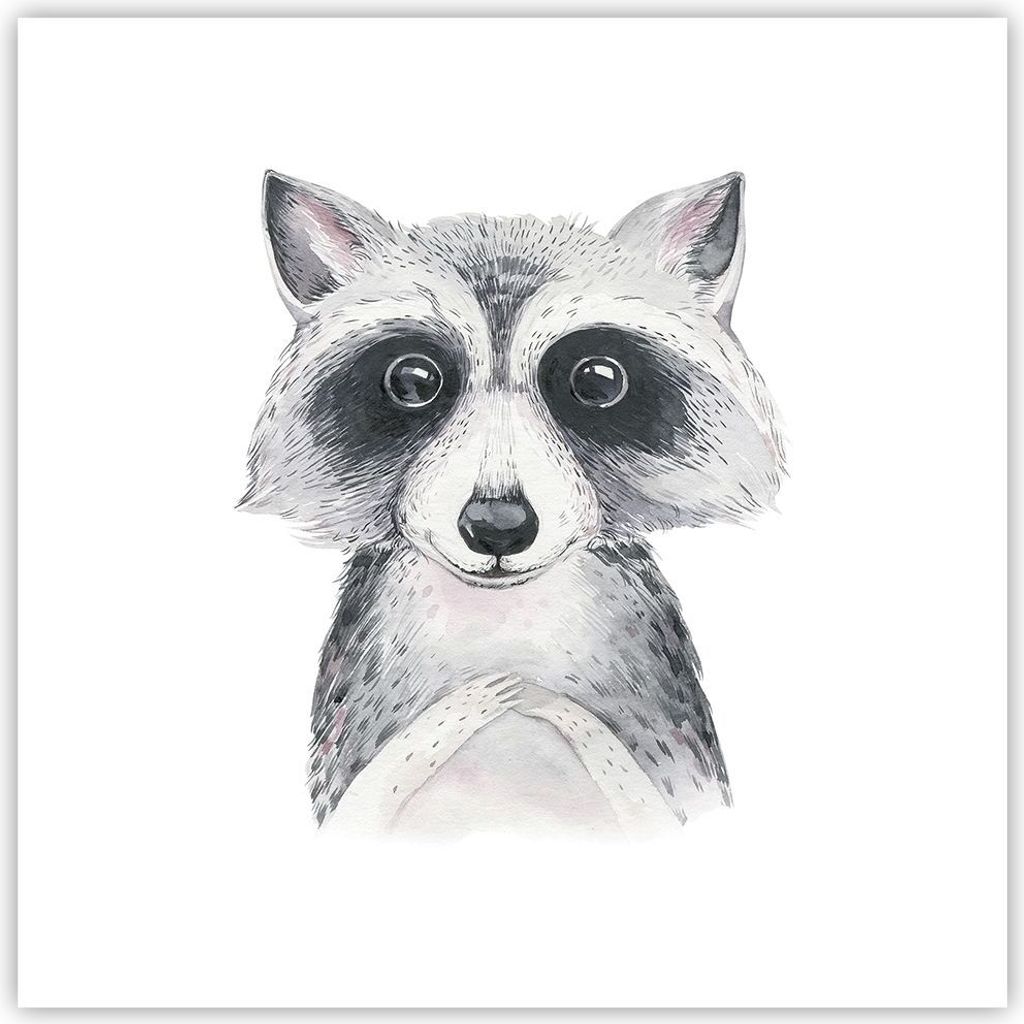 Poster - Poster ohne Rahmen - Waschbär Bild Kinder - 40x40 cm - Wand Bild - Wanddeko - Wandbilder - Kunstposter - Wandposter - Bilder - Kunstdruck...
