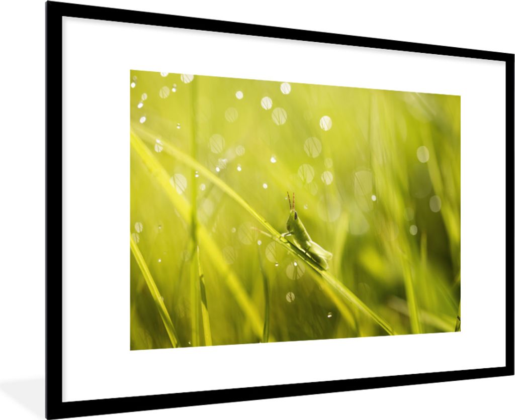 MuchoWow MuchoWow Gerahmtes Poster Grashüpfer - Gras - Grün 90x60 cm - Poster mit zchwarzem Bilderrahmen - Wanddekoration - Fotos