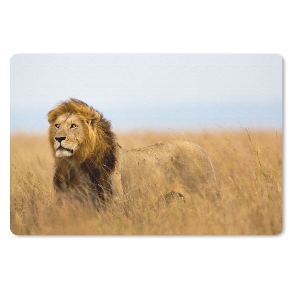 MuchoWow Schreibtischunterlage Löwen - Gras - Afrika 60x40 cm - XXL Mauspad - Großes Mauspad