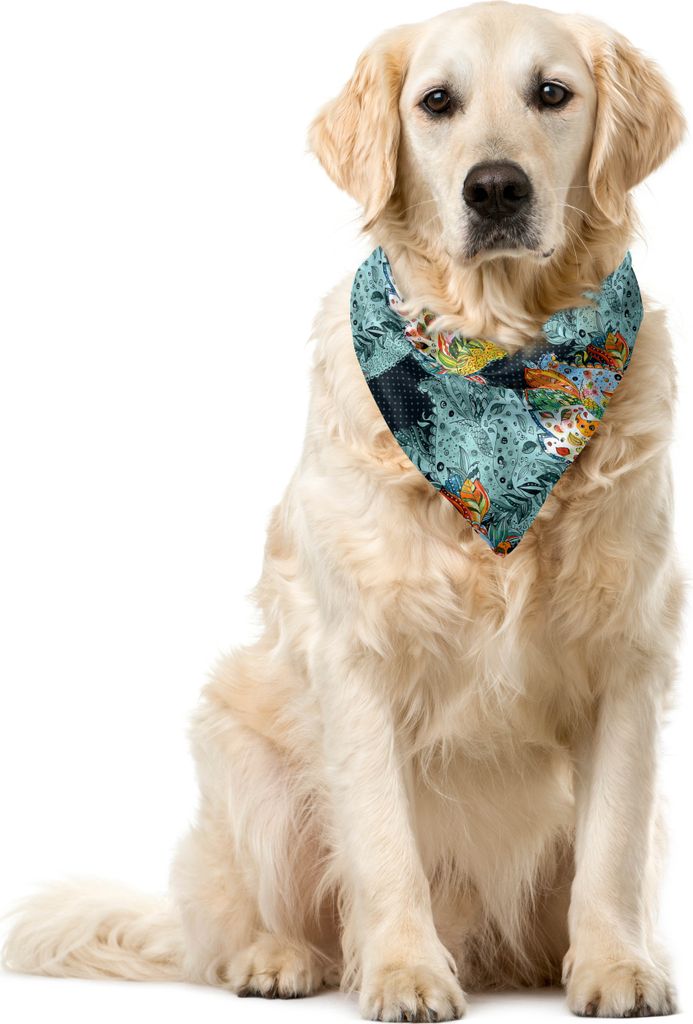 ABAKUHAUS Paisley Haustier Bandana, Orientalische Art-Motive, 40x40 cm, Blau und Orange