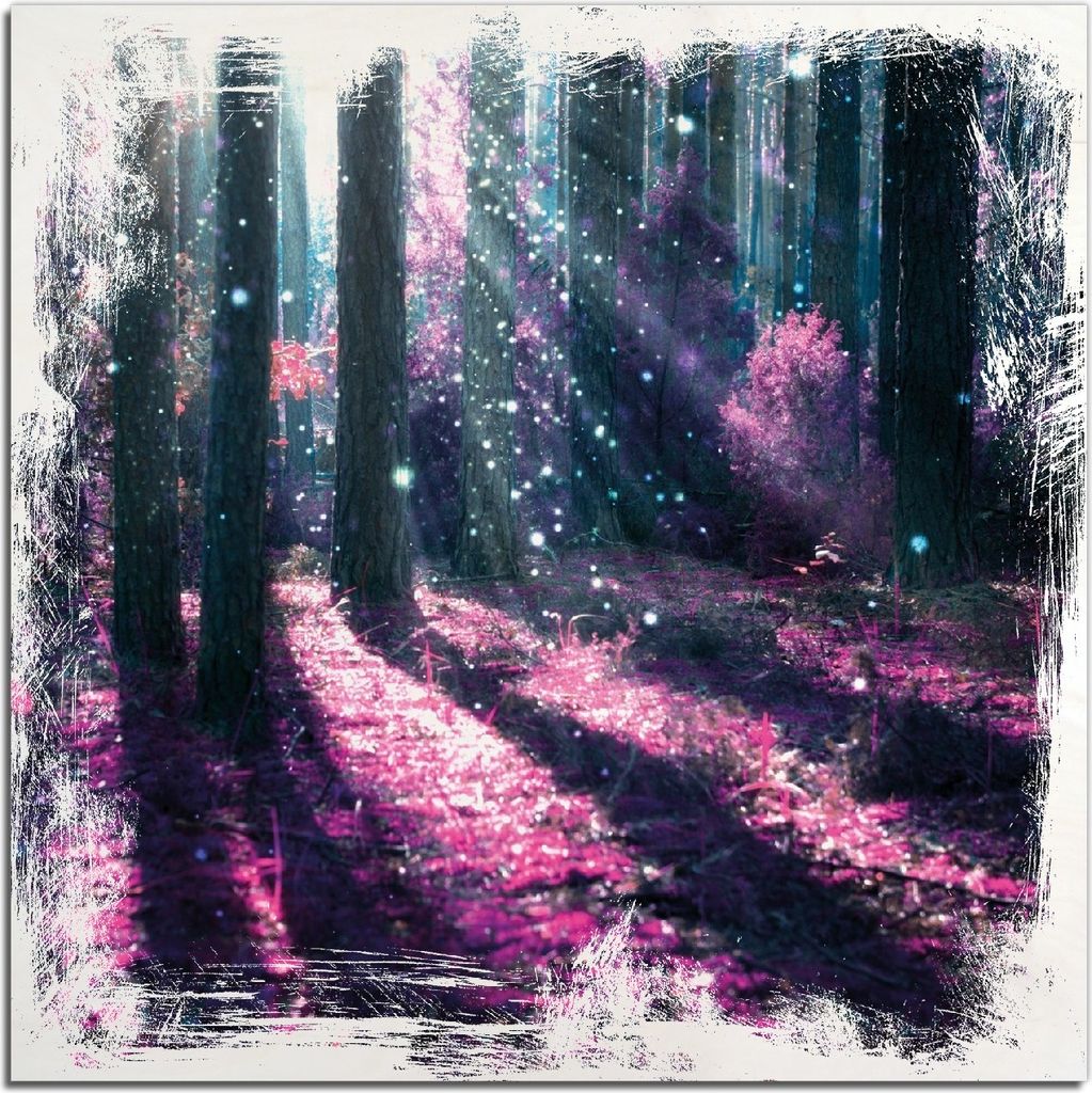 Kunstdrucke Wandbilder Holz in : Brillante Farben, Größe 50 x 50 cm Motiv Fantasie im Wald - Pinke Blumen in der Sonne