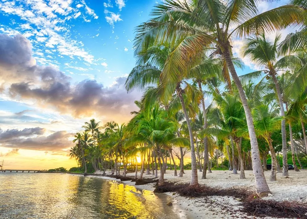 Puzzle 500 pièces Guadeloupe Anse Champagne - Activité Relaxation Zen