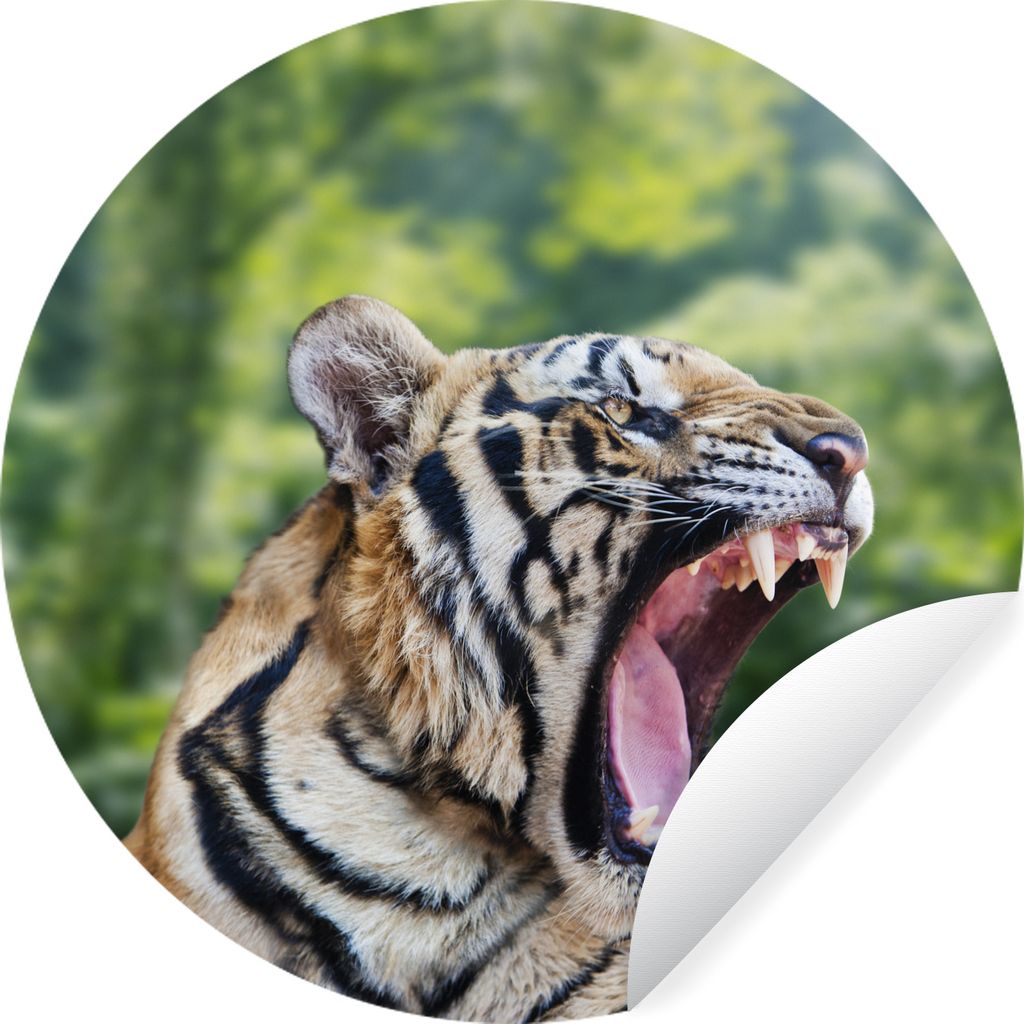 MuchoWow Runde Wandtattoo - Wandsticker Tapete Aufkleber Tiger - Kopf - Wald Ø 30 cm Selbstklebend und Repositionierbar - Wandaufkleber - Kreis ...