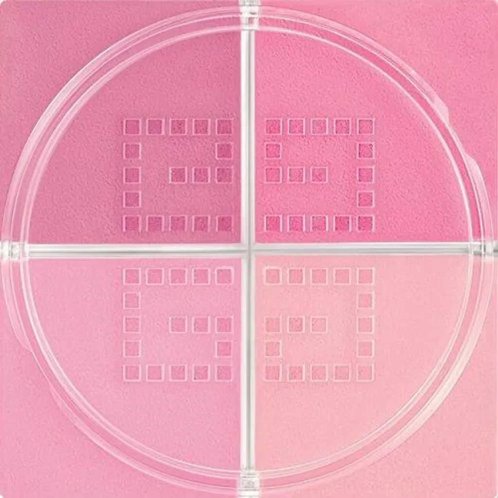 Blush Givenchy Prisme Libre 4 Couleurs - Effet Bonne Mine Immédiat 1.5g
