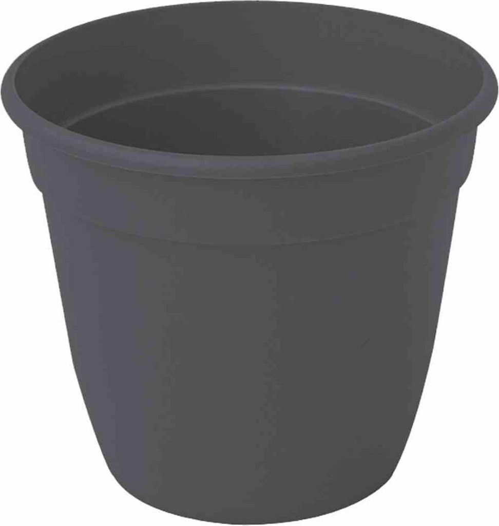 SIENA GARDEN Pflanztopf 12cm anth.