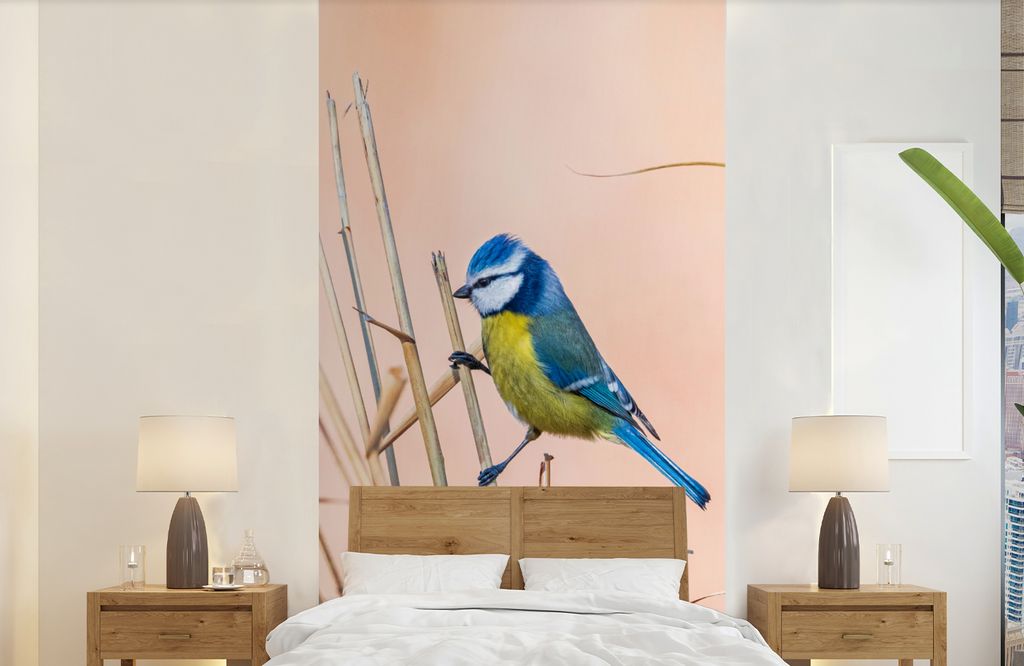 MuchoWow Fototapete für Wohnzimmer oder Schlafzimmer Wandtapete Vinyl Motivtapete Vogel - Blaumeise - Schilf - 120x240 cm - Hintergrundbild