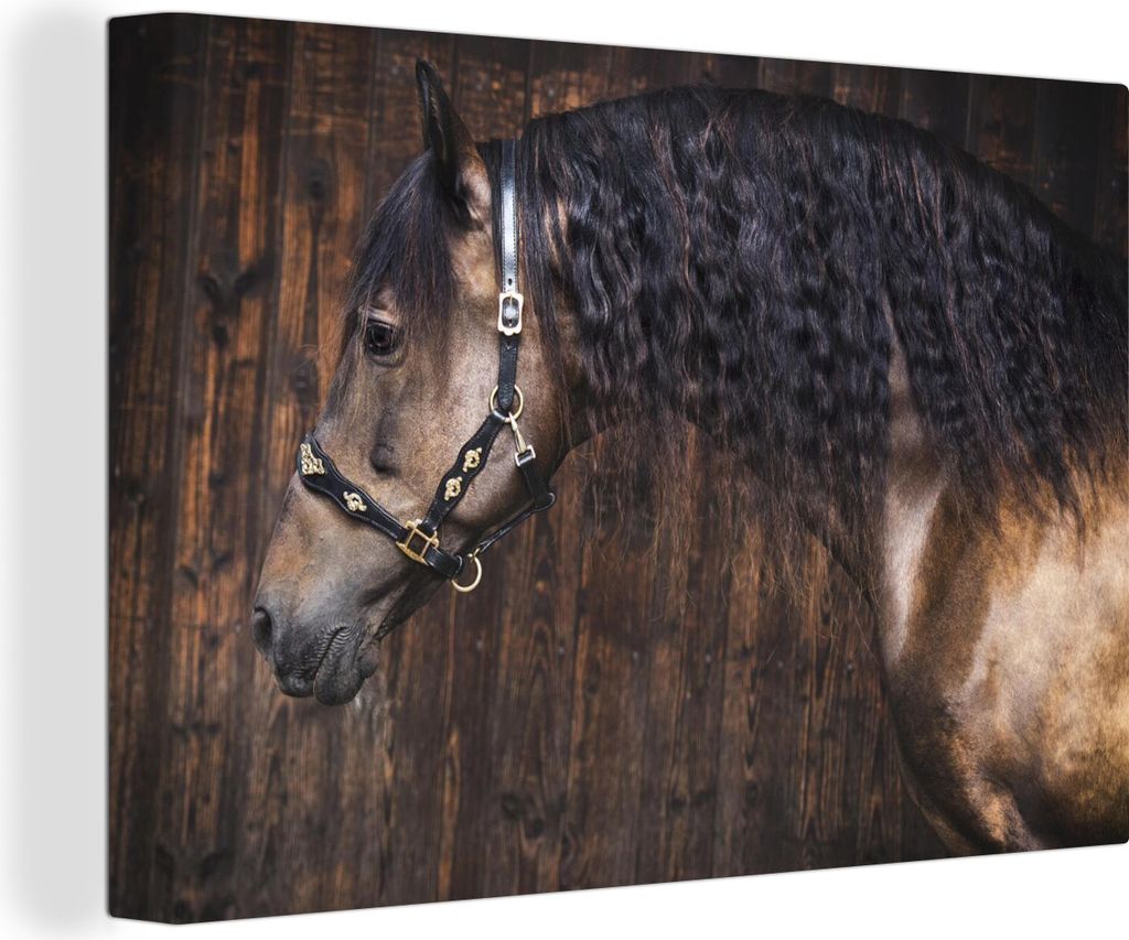 OneMillionCanvasses - Leinwandbilder - 140x90 cm, Pferd - Schwarz - Braun - Halfter, Wandbilder Kunstdruck Wanddekoration