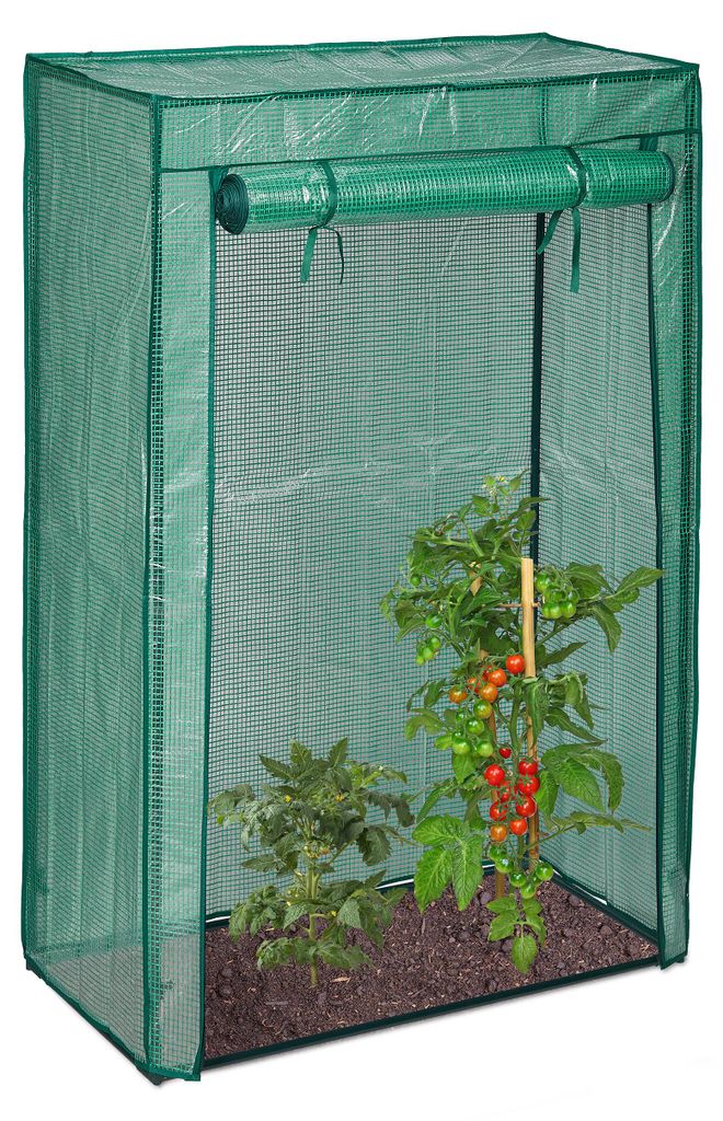 Serre à tomates pour le jardin, verte RD18888 Image du produit 