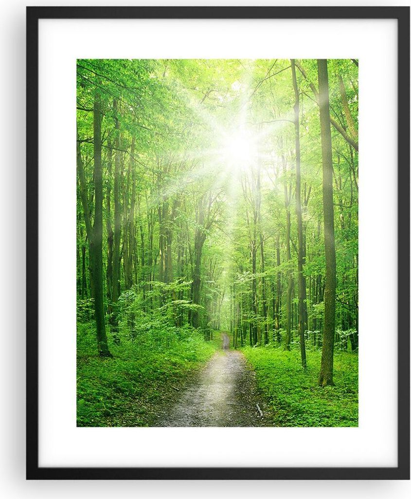 Gerahmtes Poster - Schwarzer Rahmen - Sonnenstrahlen Wald Sommer - 40x50 cm - Wand Bild - Wanddeko - Wandbilder - Wandposter - Bilderrahmen - Bilde...