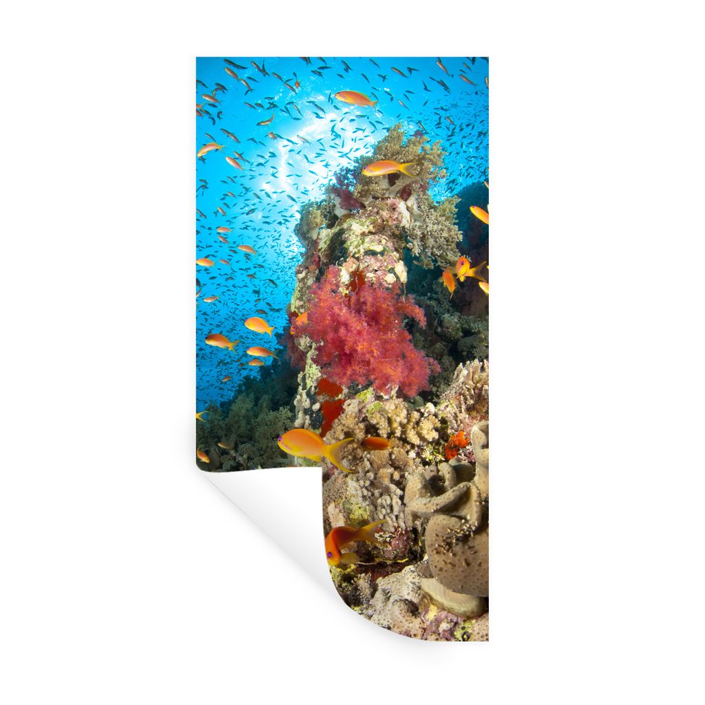 MuchoWow Wandtattoo Wandsticker Wandaufkleber Koralle mit Fischen 40x80 cm Selbstklebend und Repositionierbar - Repositionierbar - Wasser abweisend