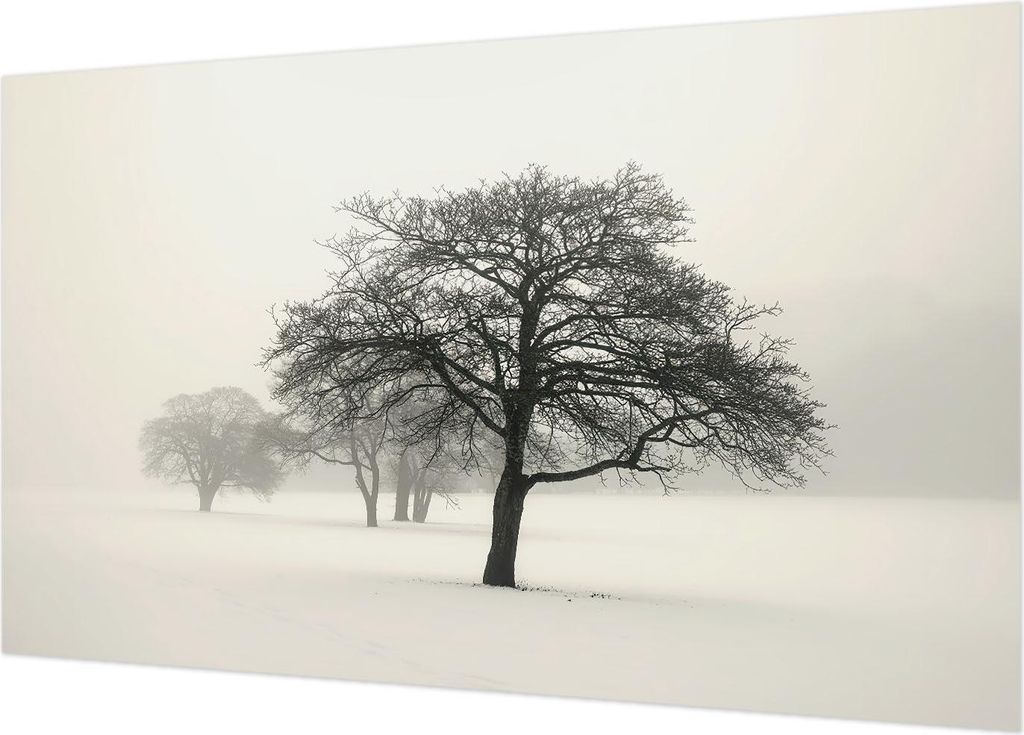 Fototapete - Wandbilder für Wohnzimmer - 416x254 - Dekorative Wandfolie - Modernes Design für Wanddekoration - Tapeten für Innenräume - Winterb...