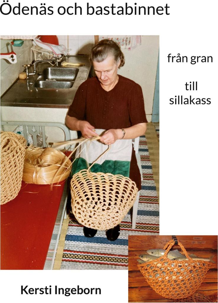 Ödenäs och bastabinnet