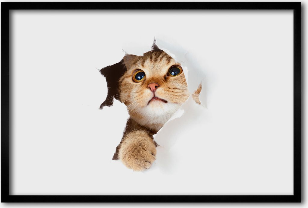 Bild 60x40 MDF-Rahmen, Wandkunst Katze im Loch