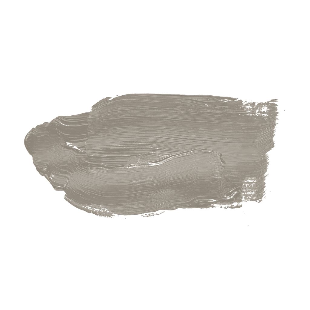 A.S. Création DD125548 The Color Kitchen Grey Pumpkin TCK1019 2,5l Taupe Matt