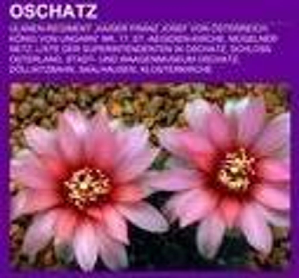 Oschatz