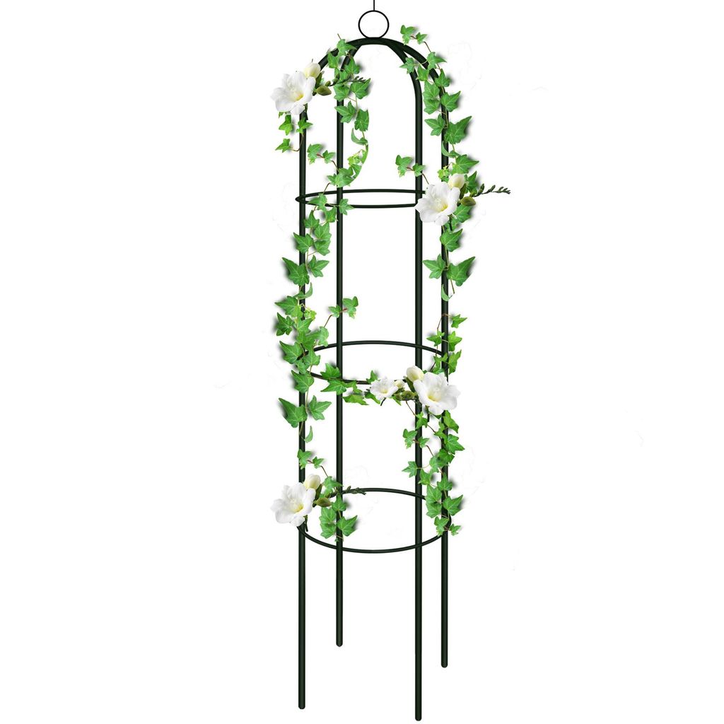 Speed Arc de roses Colonne de roses en métal Treillis Image du produit 