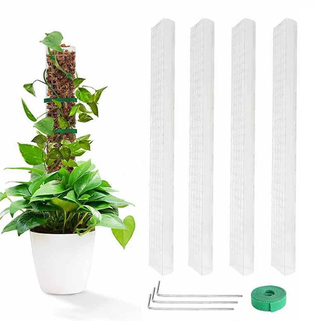 4er Set Moosstab Pflanzenstütze 61cm, transparente Produktbild 