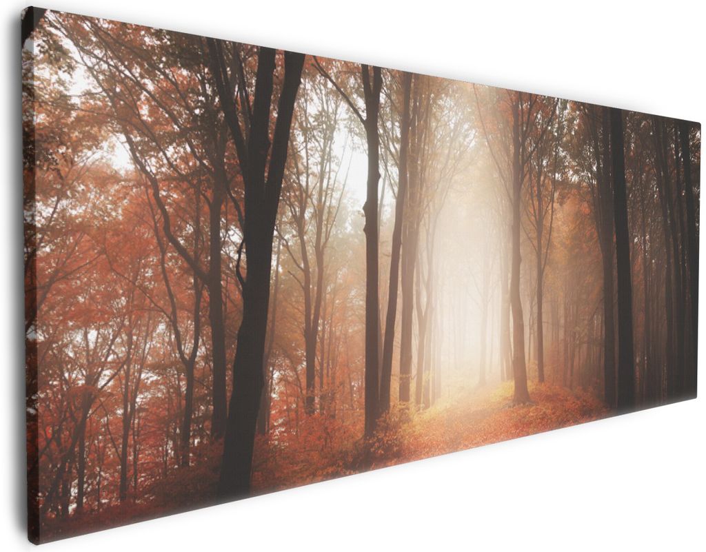 Wallario Premium Leinwandbild Herbstwald - Weg zu einer Lichtung im Wald in Größe 80 x 200 cm