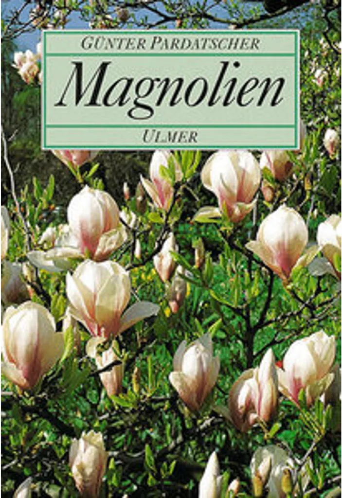 Branche de Magnolia Décorative - Fleur Artificielle Haut de Gamme 80cm