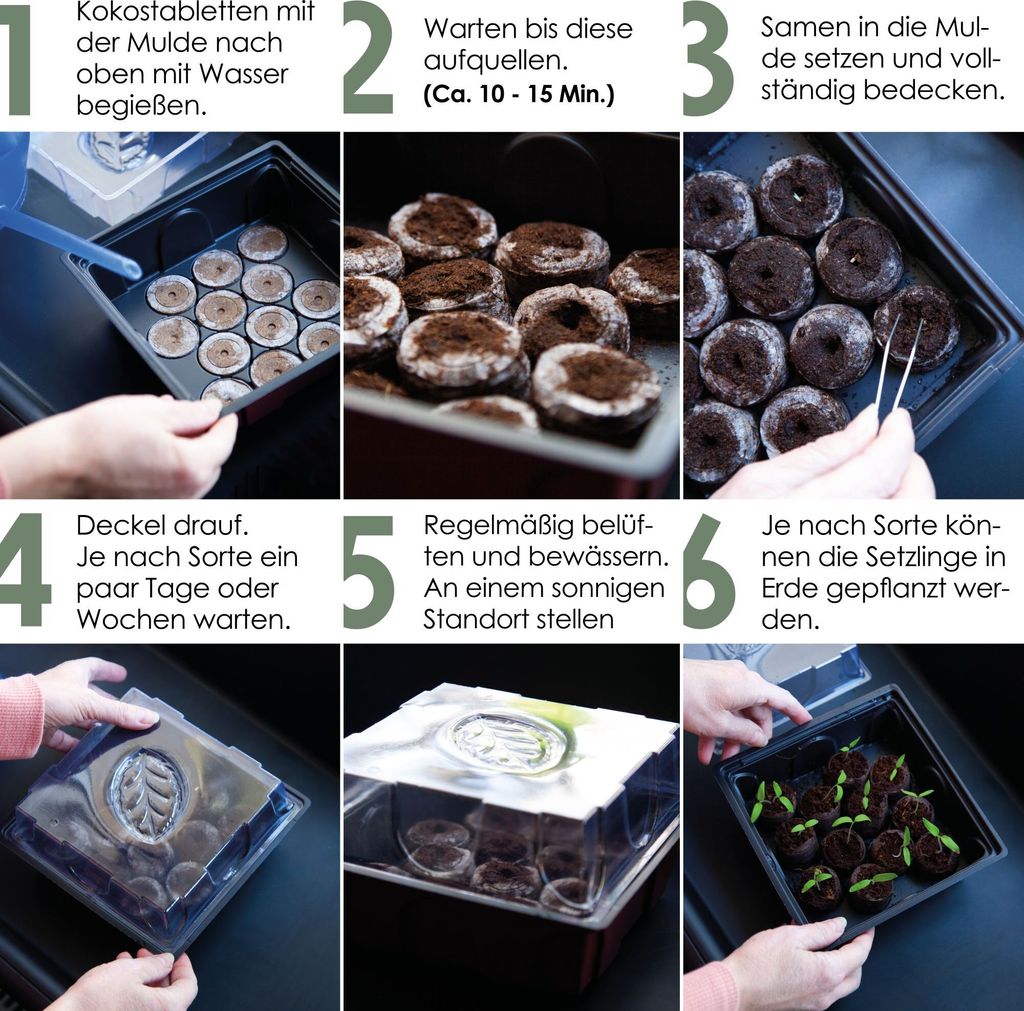 HappySeed Gewächshaus mit 12 Kokos Quelltabletten - Zur Produktbild 5