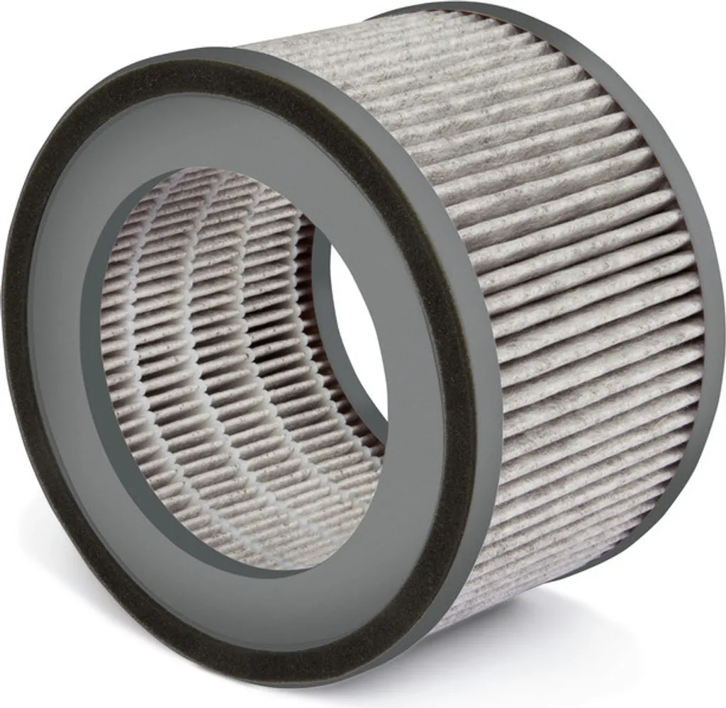 Filtre Soehnle 68106 Airfresh Clean 300 contre Poussière et Pollens