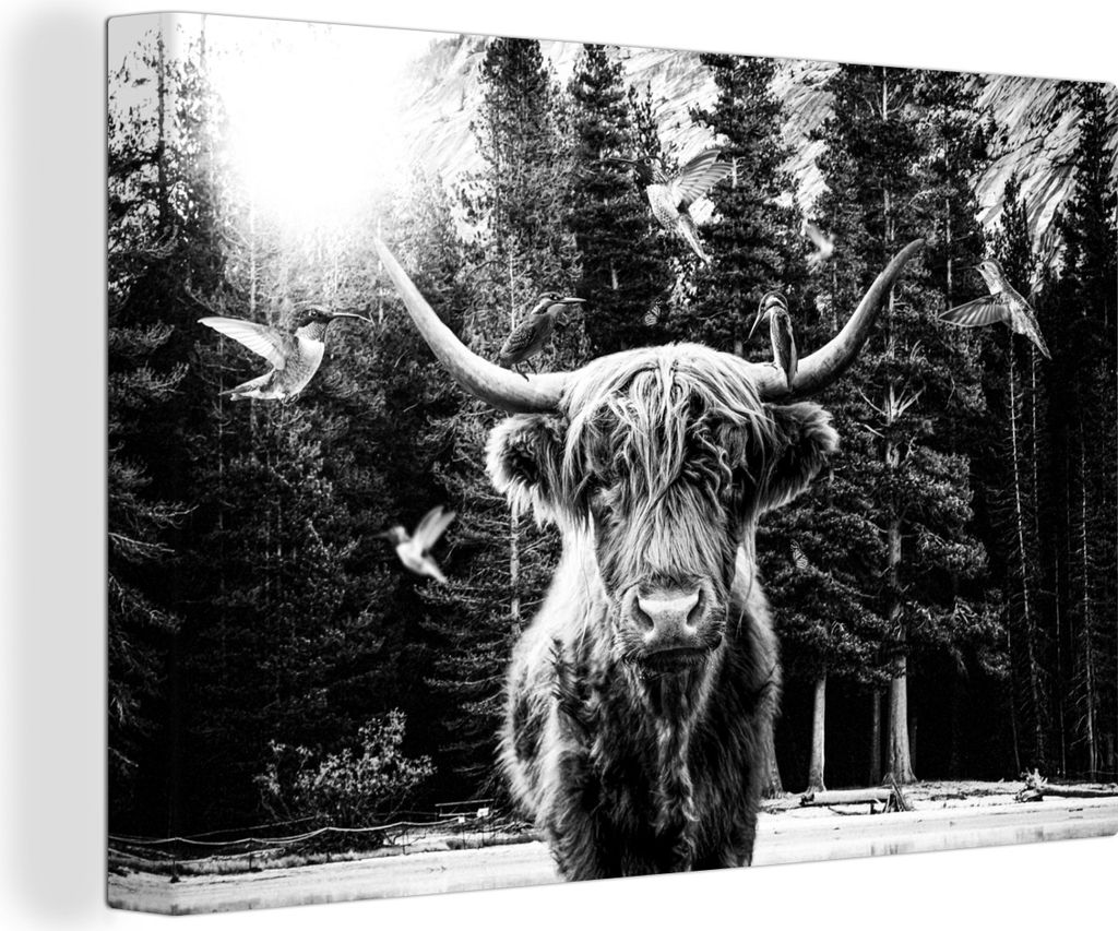 OneMillionCanvasses - Leinwandbilder - 140x90 cm, Scottish Hochlandrind - Kolibri - Schwarz - Weiß, Wandbilder Kunstdruck Wanddekoration