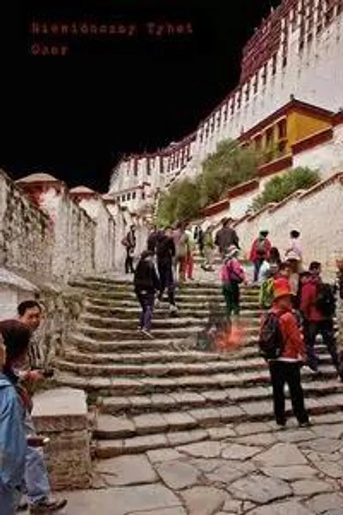 Livre Niewidoczny Tybet par Tsering Woeser essai politique 392 pages